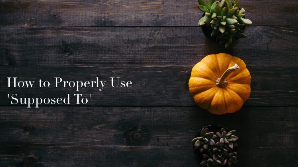 Blog Article Thumbnail