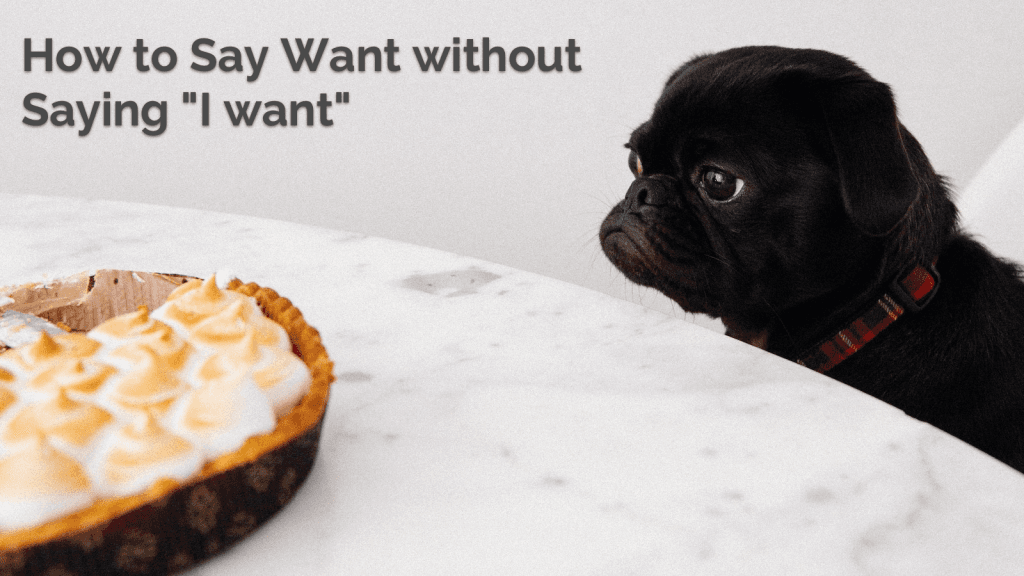 Blog Article Thumbnail