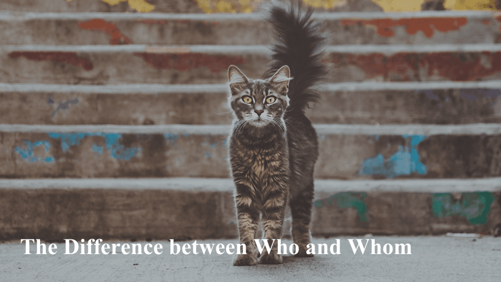 Blog Article Thumbnail