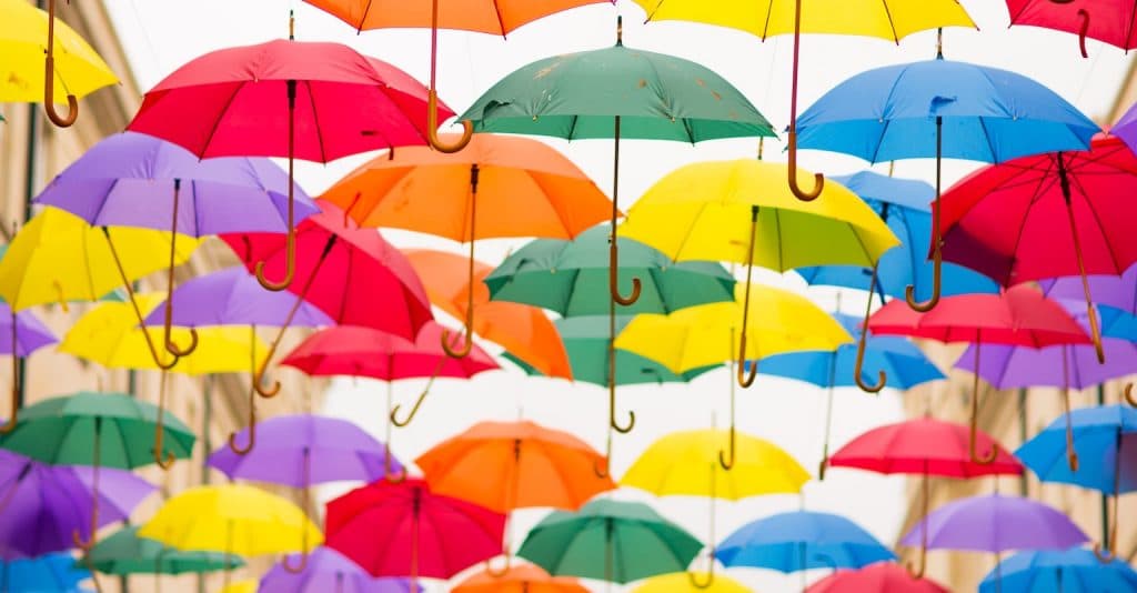 Blog Article Thumbnail