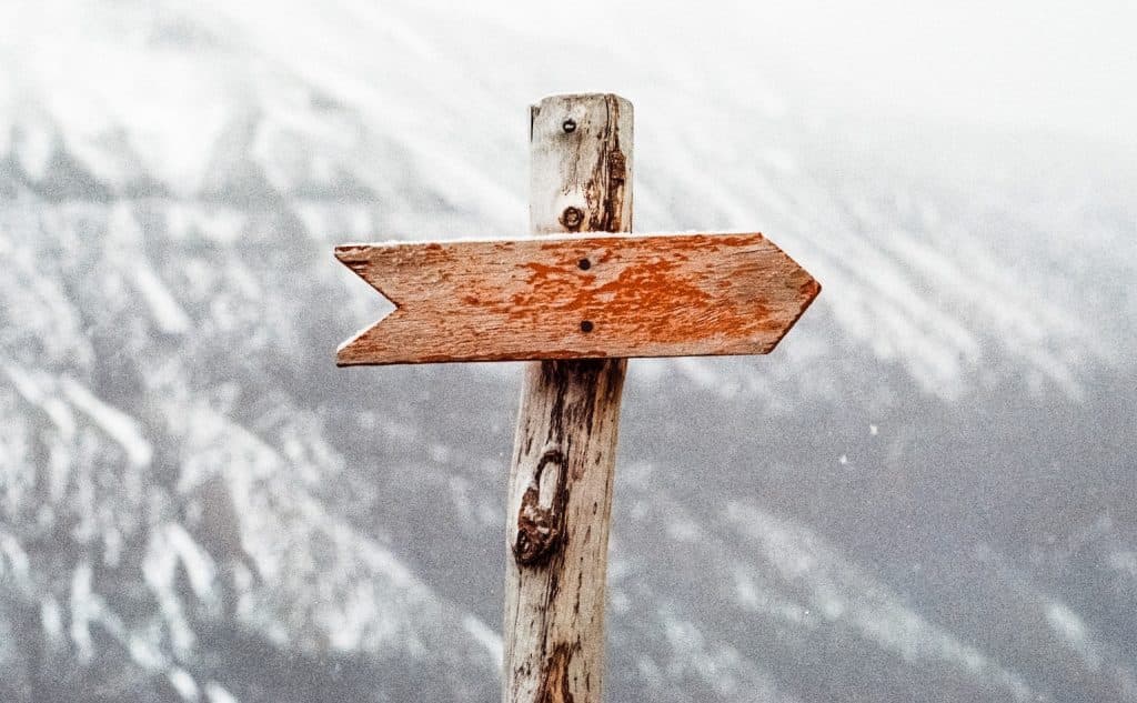 Blog Article Thumbnail